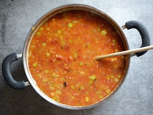 Lentils, ingredients and Broth Simmer in pan