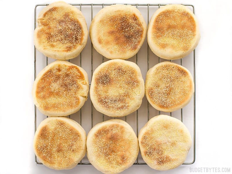 Homemade English muffins are fun to make, delicious, and cost just pennies each. Make this your next weekend project! Step by step photos. BudgetBytes.com English Muffins cooling on a wire rack, from above