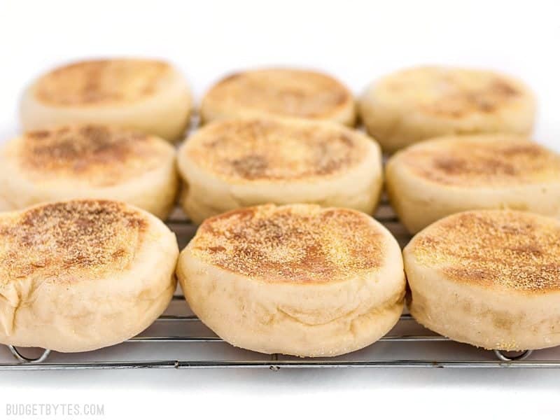 Homemade English muffins are fun to make, delicious, and cost just pennies each. Make this your next weekend project! Step by step photos. BudgetBytes.com English Muffins on the cooling rack from the front