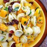 Close-up of butternut pasta salad in a bowl.
