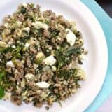 Joe's special dish served on a plate.