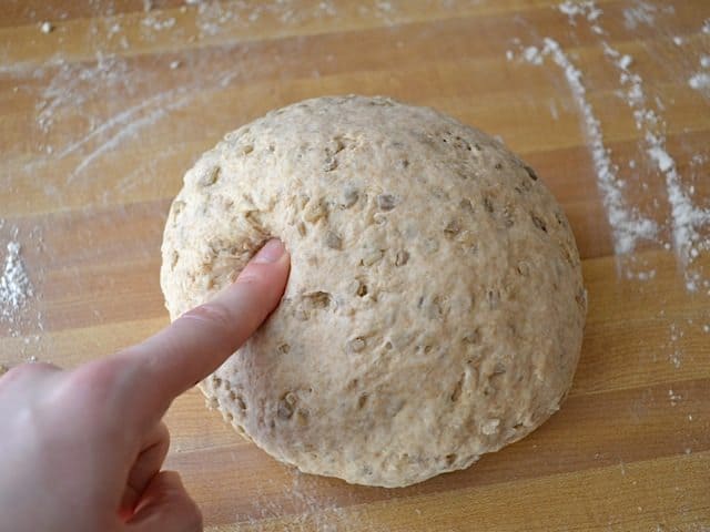 Kneaded Dough formed into ball
