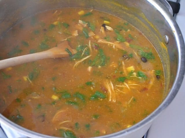 Finished Chicken & Pumpkin Soup in pot with wooden spoon