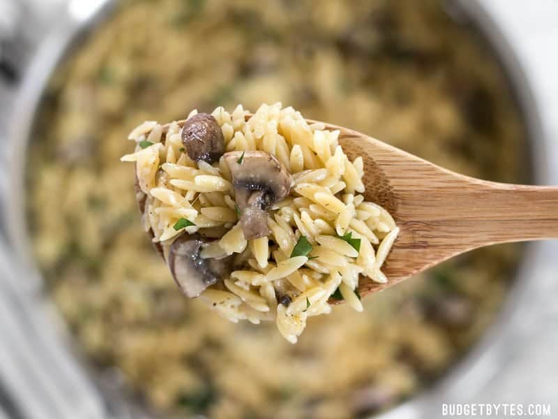 This super simple and flavorful Parmesan Portobello Orzo will become your next go-to side dish. Ready in 30 minutes, it pairs with chicken, beef, or pork. Budgetbytes.com A spoonful of Parmesan Portobello Orzo with the skillet in the background