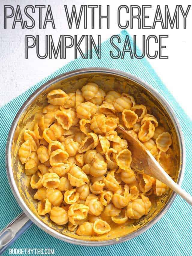Pasta with Creamy Pumpkin Sauce - BudgetBytes.com