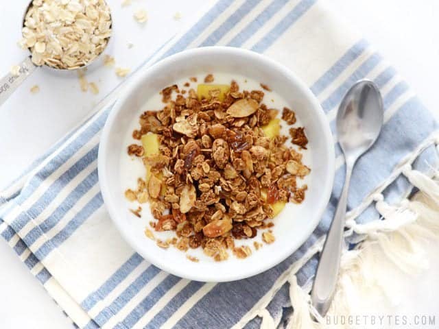 Gingersnap Granola pairs the rich, deep flavor of molasses with warm spices like ginger, cinnamon, and cloves. Great for breakfast, a snack, or dessert! Budetbytes.com Overhead view of a bowl full of Gingersnap Granola and yogurt, a measuring cup with dry oats on the side