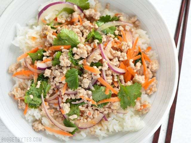 Nam Sod is a vibrant and freshly flavored pork (or turkey) salad drenched with a lime, ginger, and chili dressing. Light, filling, and flavorful! Budetbytes.com Finished Nam Sod (Thai Pork Salad) in a bowl with rice and chopsticks on the side