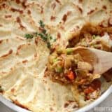 Vegetarian shepherd's pie served with a scoop.