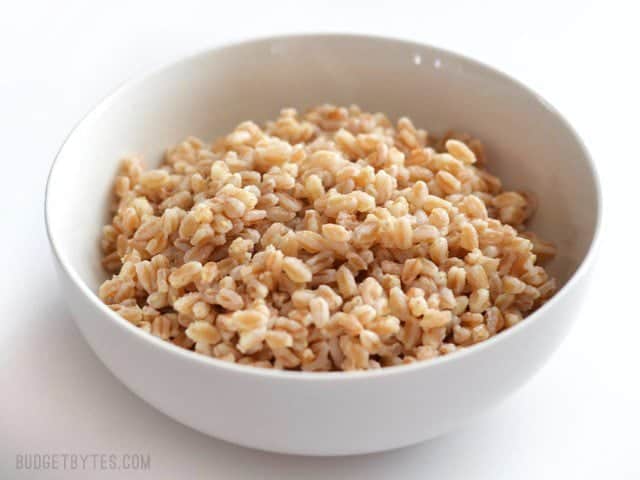 This short tutorial takes you through the basics of how to cook farro, plus a few facts about this versatile, chewy, and flavorful grain. Budetbytes.com Side view of a bowl full of plain cooked farro