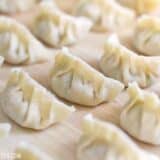 Lineup of pork gyoza arranged neatly on a serving plate.