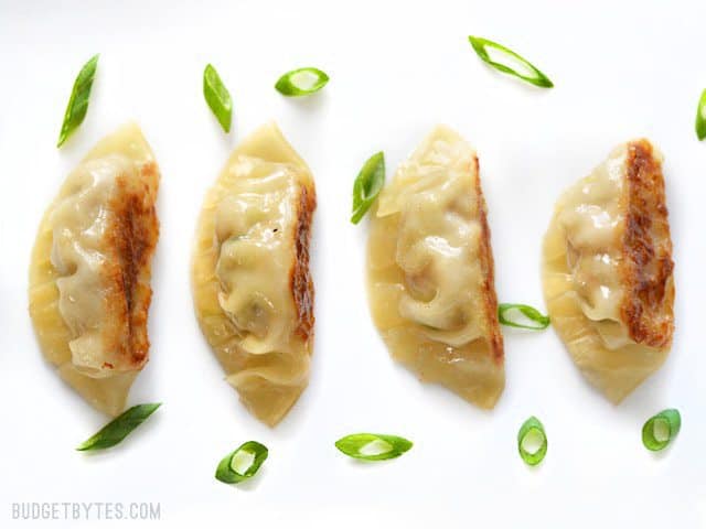 Filling, folding, frying, and steaming your own Pork Gyoza at home is not only fun, but it costs just pennies on the dollar compared to restaurants. BudgetBytes.com Overhead view of four pork gyoza on a plate, sprinkled with sliced green onion