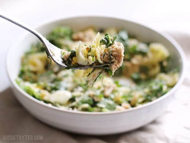 Kale, canned salmon, and pasta come together to make a budget-friendly and hearty salmon caesar salad that's perfect for your lunch meal prep. BudgetBytes.com Close up of kale and salmon caesar salad on a fork with the bowl in the background