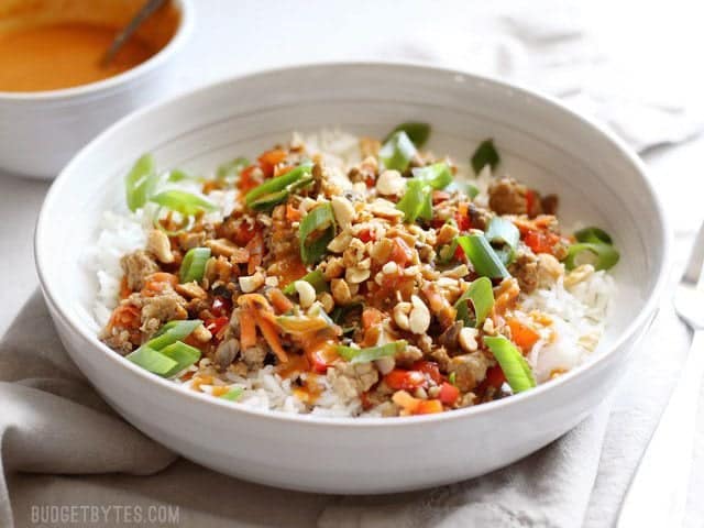 Hoisin Stir Fry Bowls with a rich and spicy peanut sauce are a fast answer to dinner with tons of color, texture, and flavor. Use pork, chicken, or turkey! BudgetBytes.com Side view of a bowl of hoisin stir fry served over rice and garnished with sliced green onion and chopped peanuts