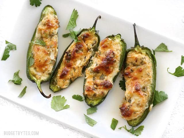 Cheesy Scallion Stuffed Jalapeños are a quick, easy, and impressive appetizer for your game day get together or any party platter! BudgetBytes.com A rectangular plate with four Cheesy Scallion Stuffed Jalapeños, garnished with cilantro