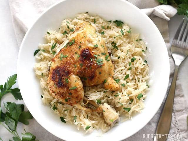 Pressure Cooker Chicken and Rice is an easy and flavorful four-ingredient dinner that leaves zero waste. Slow cooker instructions included. Budgetbytes.com Pressure Cooker Chicken and Rice served up on a plate.