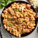Overhead view of a bowl of creamy chicken fajita pasta.