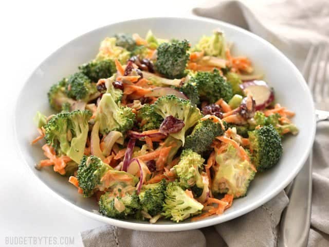 Sweet, tangy, and fresh, this Broccoli Salad with Honey Yogurt Dressing is light and refreshing and healthy side salad for summer. BudgetBytes.com Side view of a bowl full of Broccoli Salad with Honey Yogurt Dressing