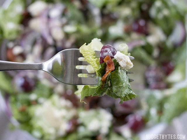Close up of a forkful of Grape Feta and Bacon Salad
