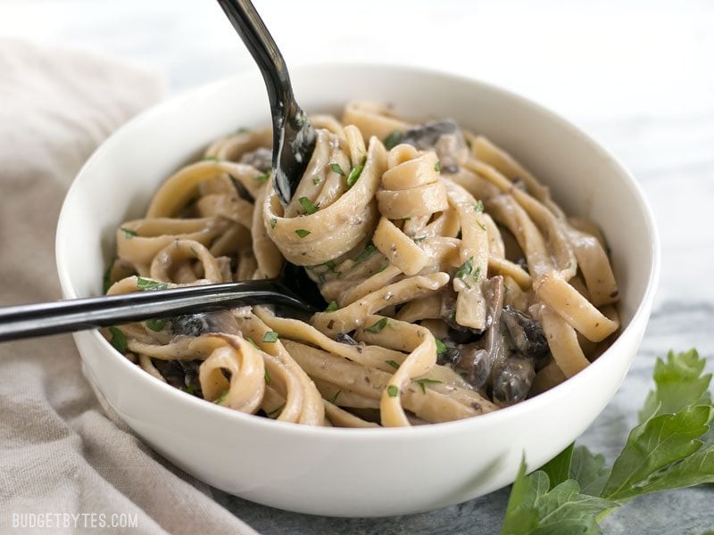 This rich and Creamy Mushroom Herb Pasta is a surprisingly fast and simple to way to have a gourmet meal at home. BudgetBytes.com A bowl of Creamy Mushroom Herb Pasta with a fork twirling the pasta in a spoon.