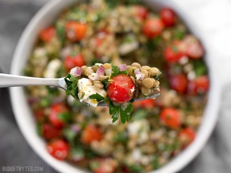 Marinated Lentil Salad is bright and flavorful, and infused with bold flavors like garlic and lemon. BudgetBytes.com Close up of a forkful of Marinated Lentil Salad, with the full bowl in the background.