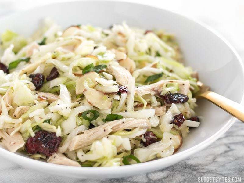 This Chicken and Cranberry Salad combines tender cabbage, nutty almonds, sweet cranberries and a tart lemon poppy seed dressing, plus enough chicken to make it a meal. BudgetBytes.com Side view of a bowl of Chicken and Cranberry Salad