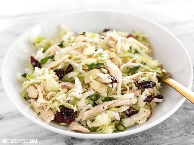 This Chicken and Cranberry Salad combines tender cabbage, nutty almonds, sweet cranberries and a tart lemon poppy seed dressing, plus enough chicken to make it a meal. BudgetBytes.com Front view of a bowl of Chicken and Cranberry Salad with a gold fork