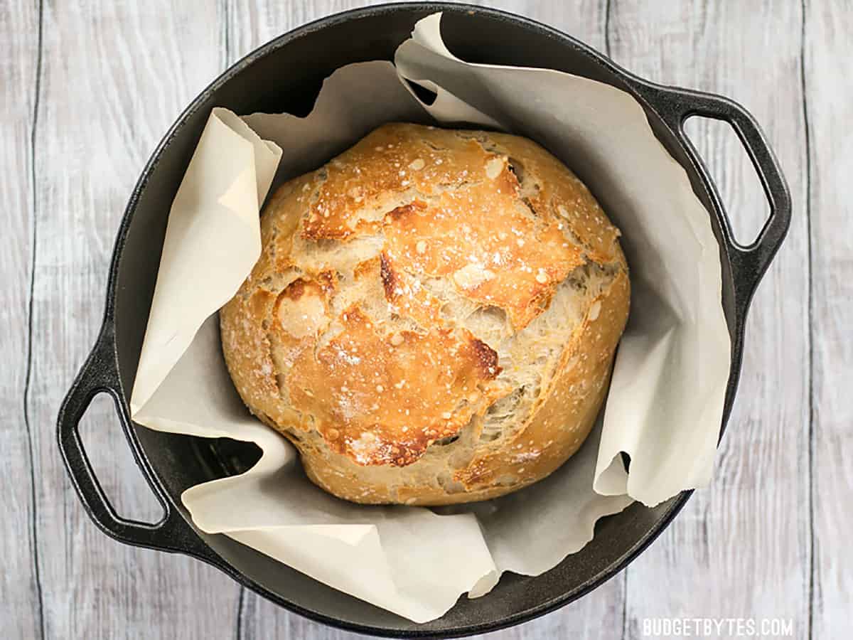 There is no kneading required to make these homemade focaccia rolls that have a crispy exterior and a soft, fluffy interior. Budgetbytes.com Baked no-knead dough in a cast iron Dutch oven with parchment.