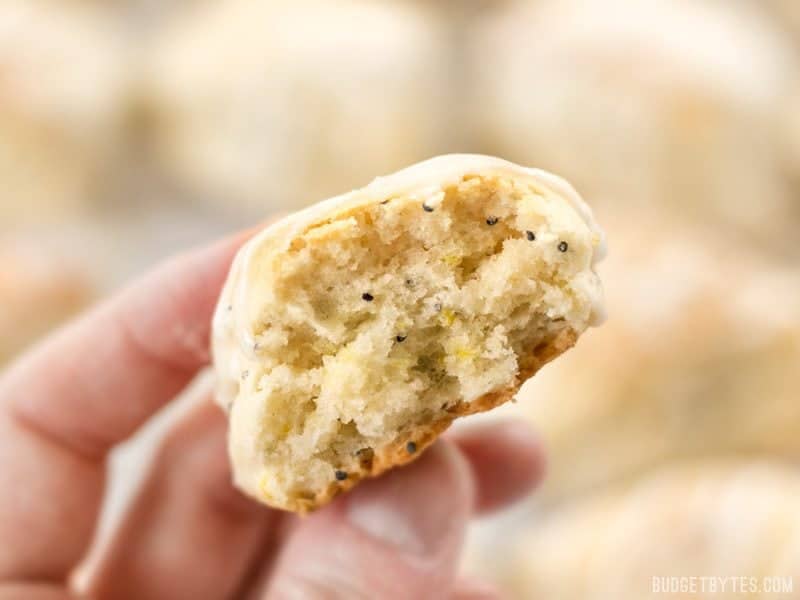 These cute little lemon poppy seed two-bite scones are soft and sweet with a deliciously tart lemon glaze. You won't be able to have just one! BudgetBytes.com Close up of the inside of one lemon poppy seed two-bite scone