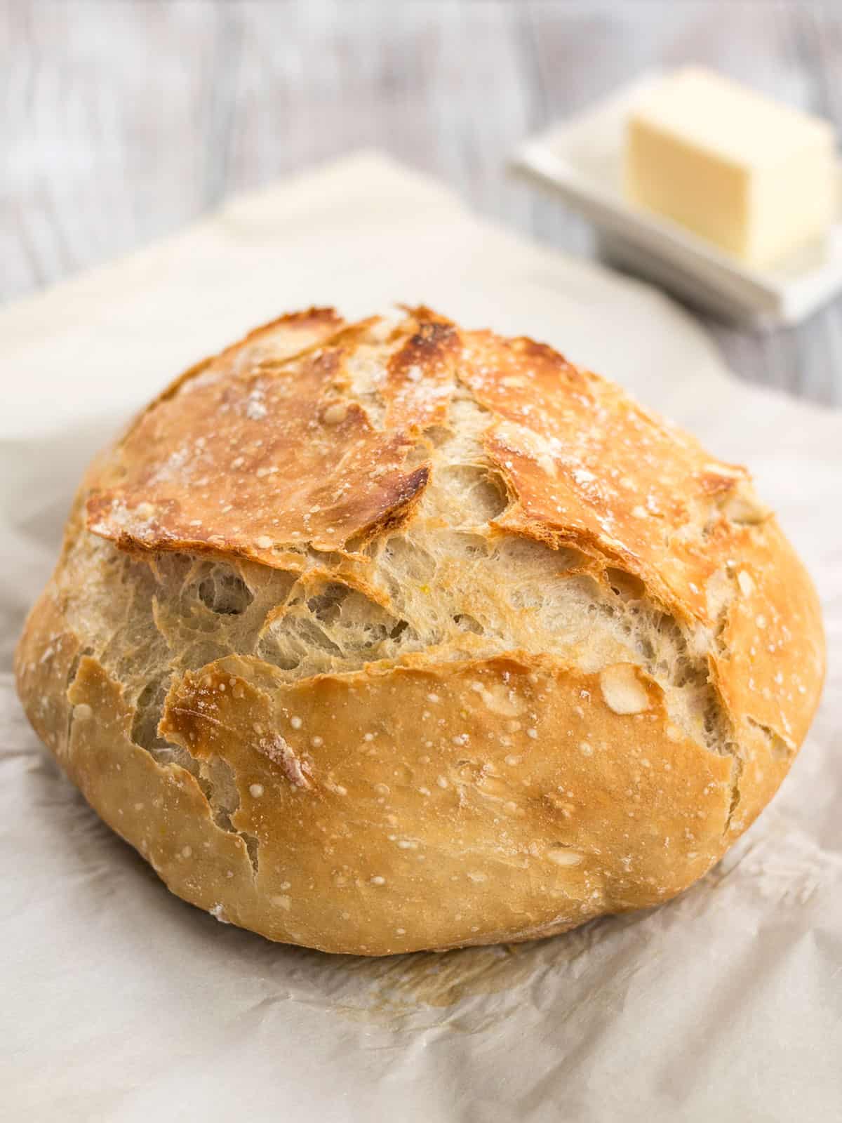 There is no kneading required to make these homemade focaccia rolls that have a crispy exterior and a soft, fluffy interior. Budgetbytes.com Side view of a baked loaf of no knead bread on parchment with butter in the background.