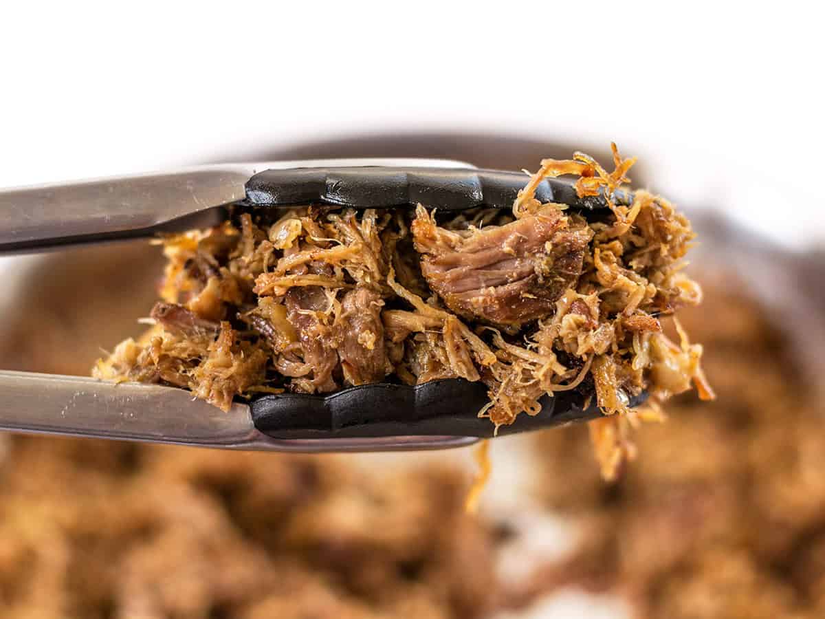 Warm spices, fresh orange essence, and a low slow cook time makes this Slow Cooker Carnitas tender, juicy, and full of flavor. Perfect for tacos, burritos and more! Close up of carnitas held in tongs with a bowl of the pulled pork behind it.