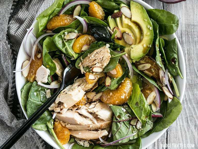 This meal-worthy Chicken and Mandarin Salad boasts sweet mandarin oranges, creamy avocado, crunchy almonds, and homemade sesame dressing. BudgetBytes.com A fork stuck into a bowl of Chicken and Mandarin Salad