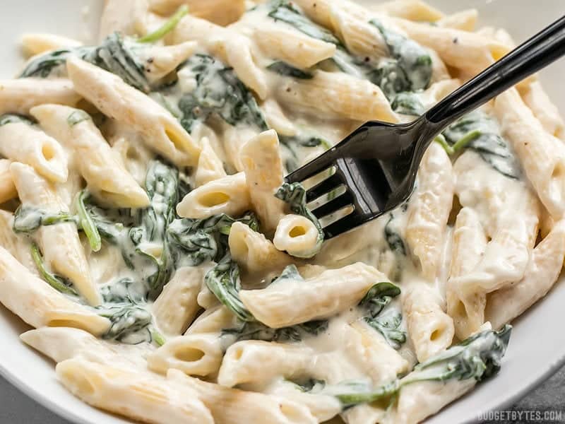 Creamy and rich, yet never heavy, this Lighter Spinach Alfredo Pasta is an easy and satisfying comfort food. Perfect for busy weeknight dinners! Budgetbytes.com A forkful of super creamy and delicious "lighter" Spinach Alfredo Pasta