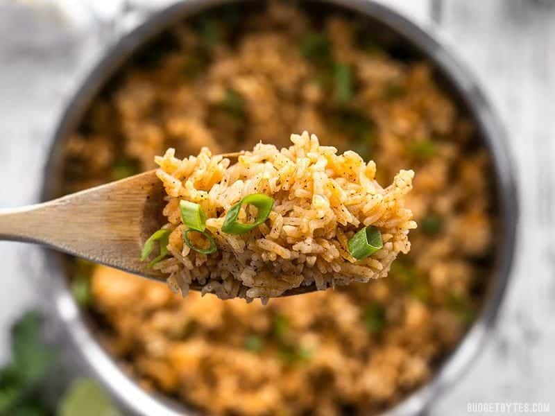 This flavorful Taco Rice is packed full of herbs and spices, but is neutral enough to serve as the base for several different recipes, like bowl meals, burritos, and more! BudgetBytes.com Close up spoonful of Taco Rice with the pot full in the background