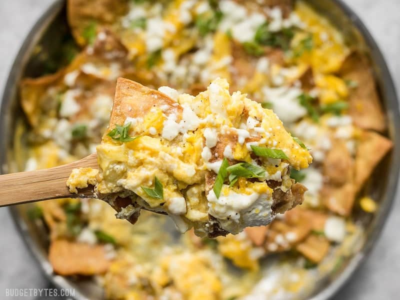 Green Chile Migas is a fast and inexpensive egg dish that is flavorful and filling any time of day, not just for breakfast! BudgetBytes.com Close up of a spoonful of Green Chile Migas with the pan in background