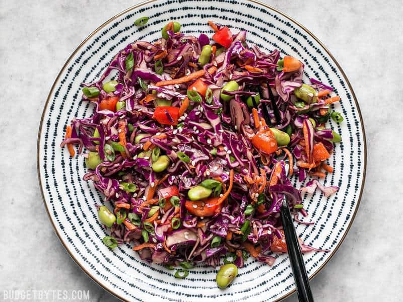 This simple Sesame Slaw with Edamame makes a great side dish, or a bed for other items like gyoza, fried tofu, or grilled chicken. BudgetBytes.com A full plate of Sesame Slaw on its own with a black fork.