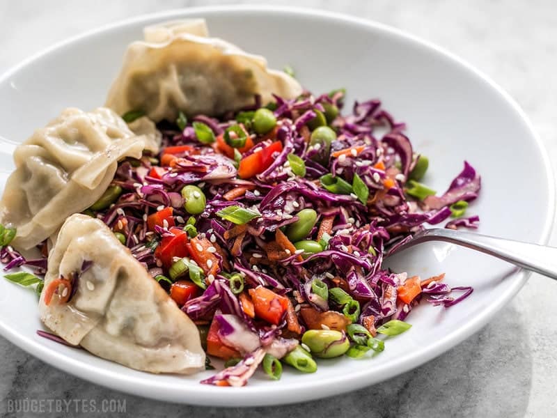 This simple Sesame Slaw with Edamame makes a great side dish, or a bed for other items like gyoza, fried tofu, or grilled chicken. BudgetBytes.com Front view of a bowl of Sesame Slaw and gyoza.