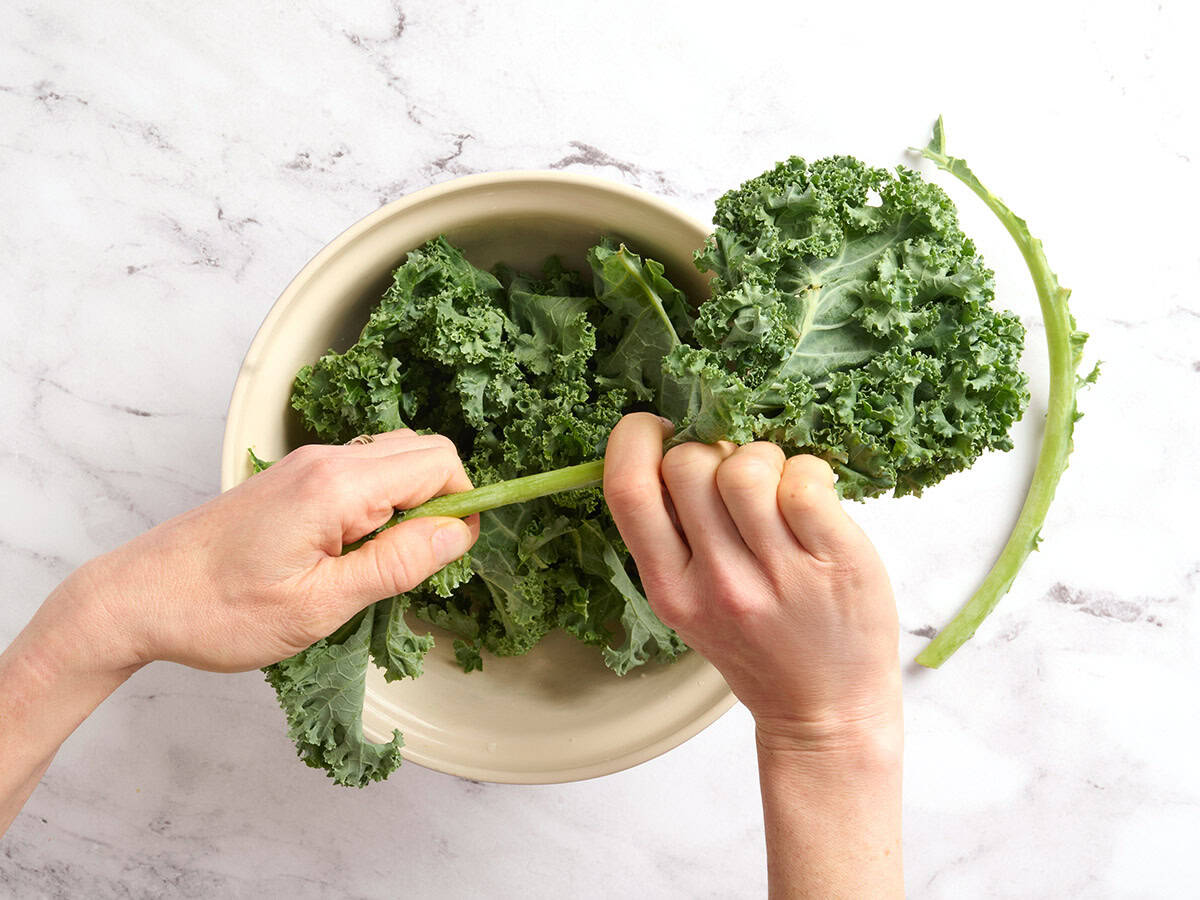Hands pulling kale from a stem.