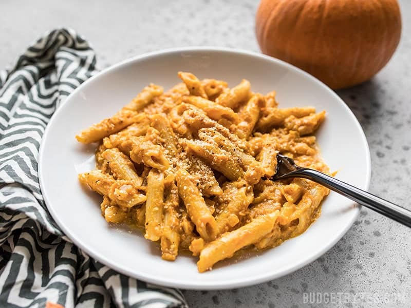 This easy tomato-free Chipotle Pumpkin Pasta is smoky, spicy, creamy, and the perfect way to celebrate fall flavors. Budgetbytes.com Bowl of finished Chipotle Pumpkin Pasta viewed from the front, with a black fork and small pumpkin in the background