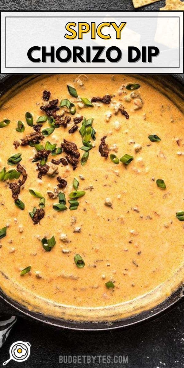 spicy chorizo dip pin image