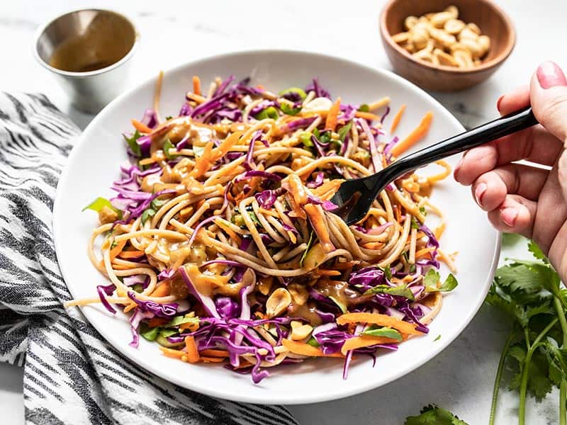This Cold Peanut Noodle Salad with homemade peanut lime dressing is the perfect meal prep for summer! No reheating necessary. Budgetbytes.com front view of a bowl with cold peanut noodle salad being eaten with a black fork.