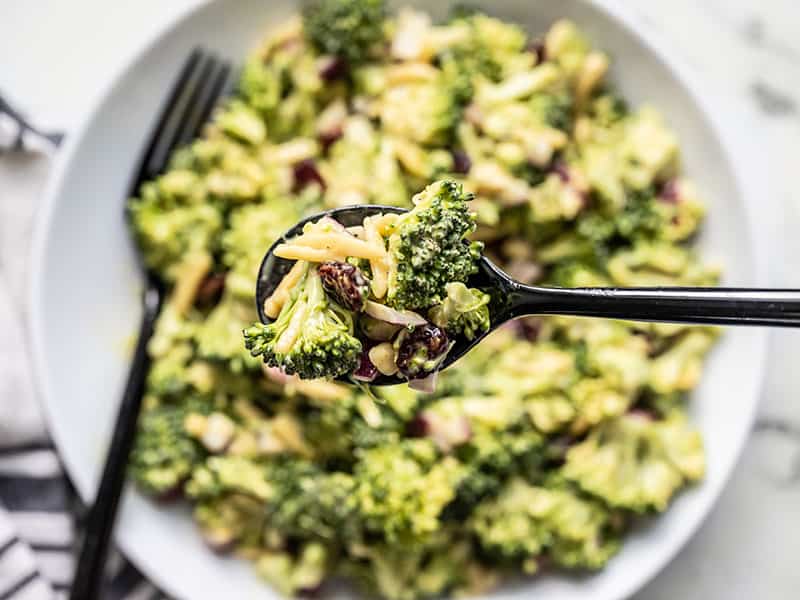 This crunchy, sweet, tangy, and creamy Honey Mustard Broccoli Salad only takes minutes to makes the perfect summer side dish. BudgetBytes.com Close up of a spoonful of Honey mustard Broccoli Salad with the bowl in the background