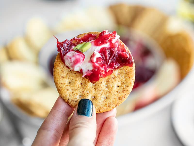 Rich cream cheese, tangy homemade cranberry sauce, and savory green onions make a simple but delicious appetizer for any holiday gathering! BudgetBytes.com Close up of cranberry cream cheese dip smeared on a cracker