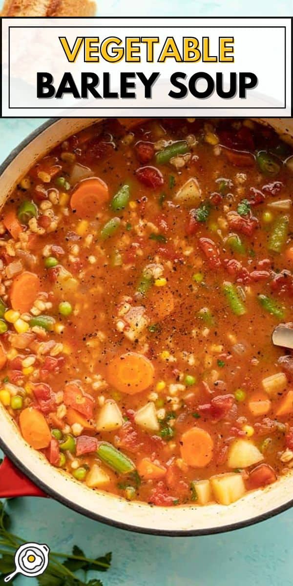 Vegetable Barley Soup pin image