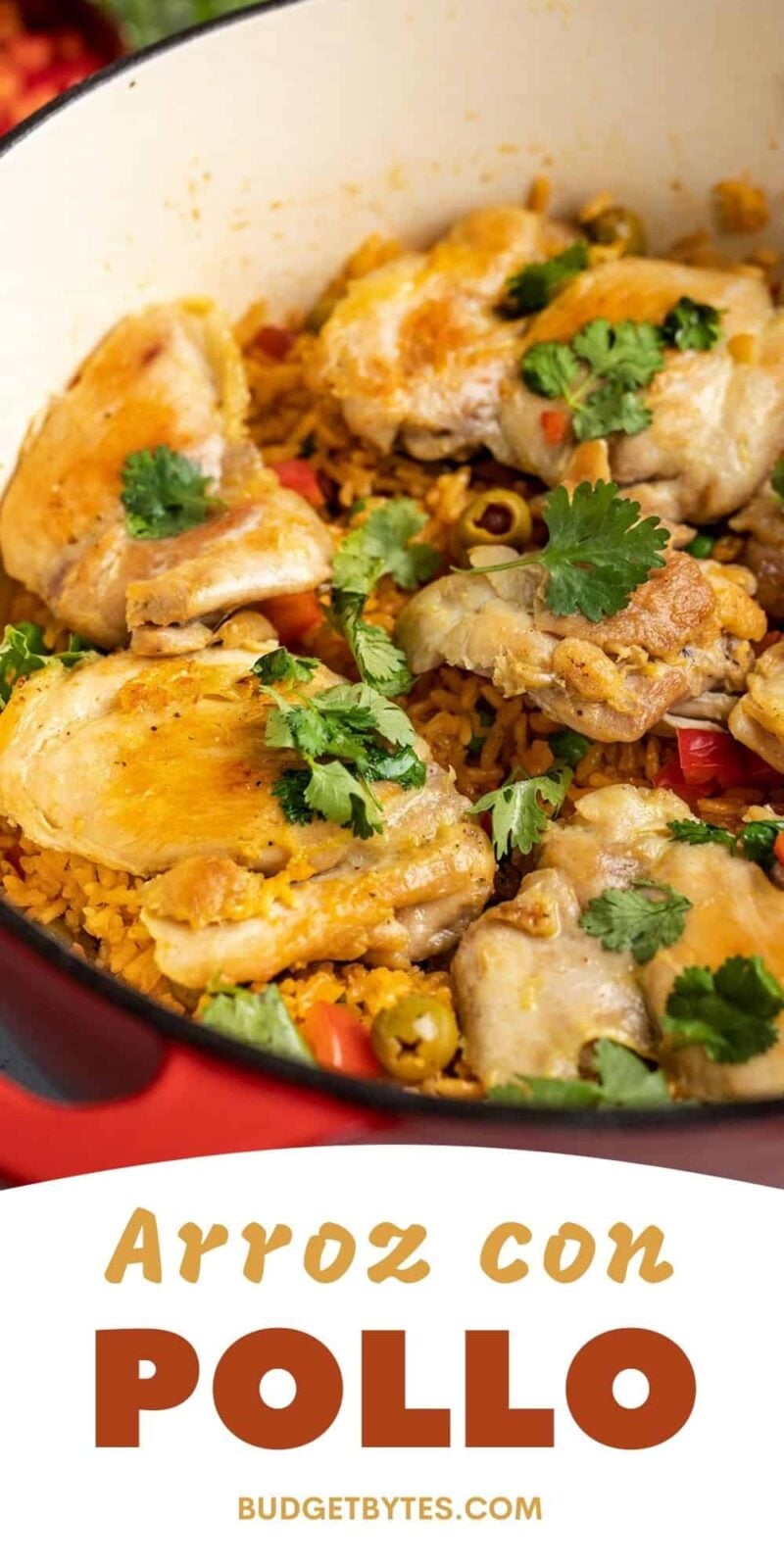 Arroz con Pollo