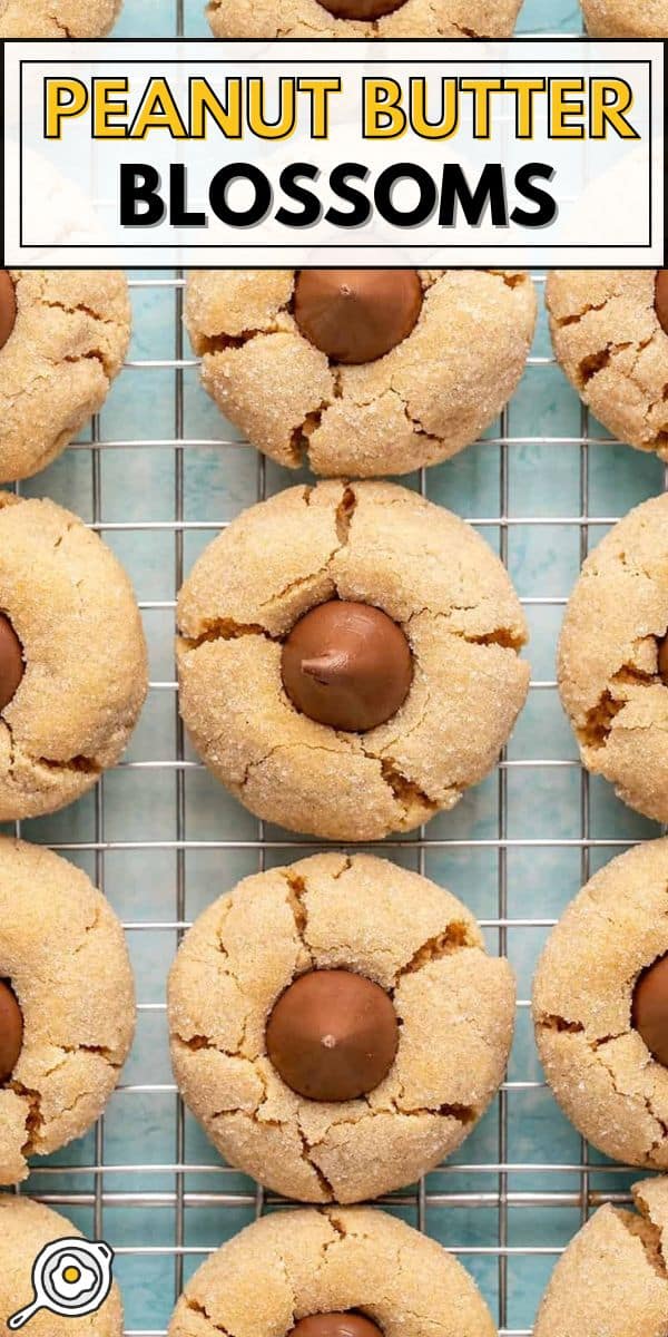 peanut butter blossoms pin image