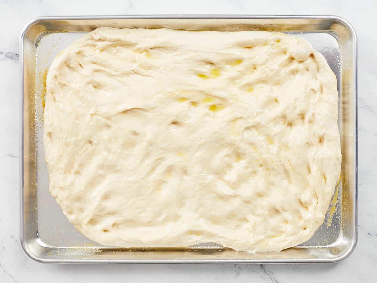 Raw pizza dough that has been fermented once and turned out onto a rimmed baking sheet and pressed out into a rectangle for a second ferment.