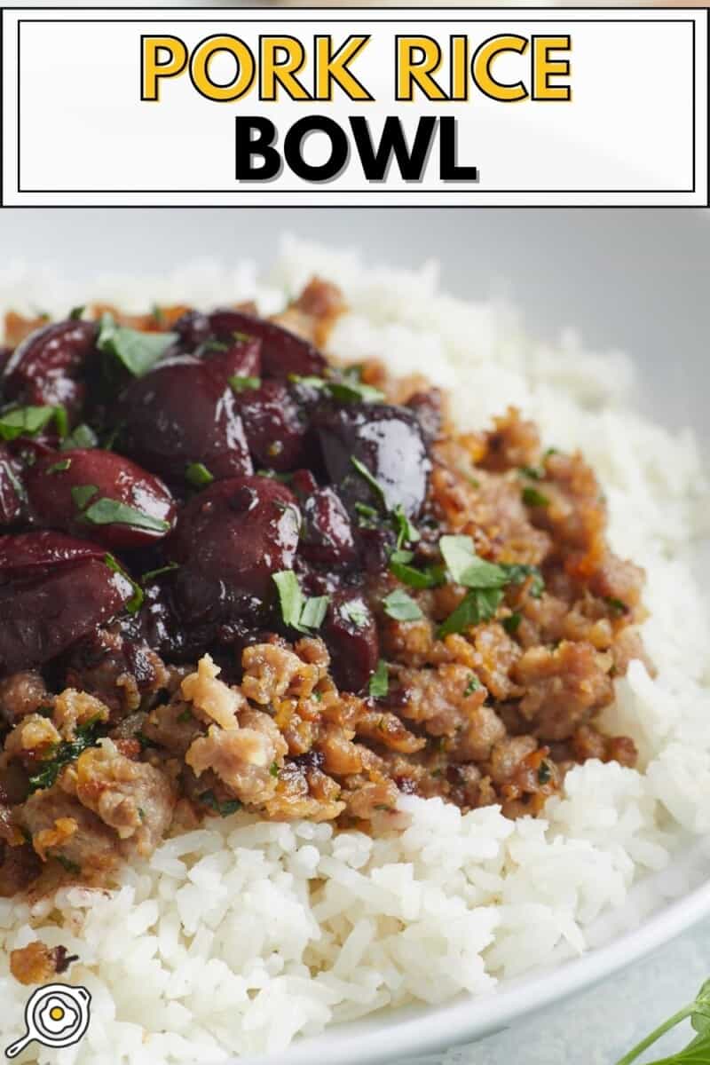 Close up side view of a pork and cherry rice bowl.
