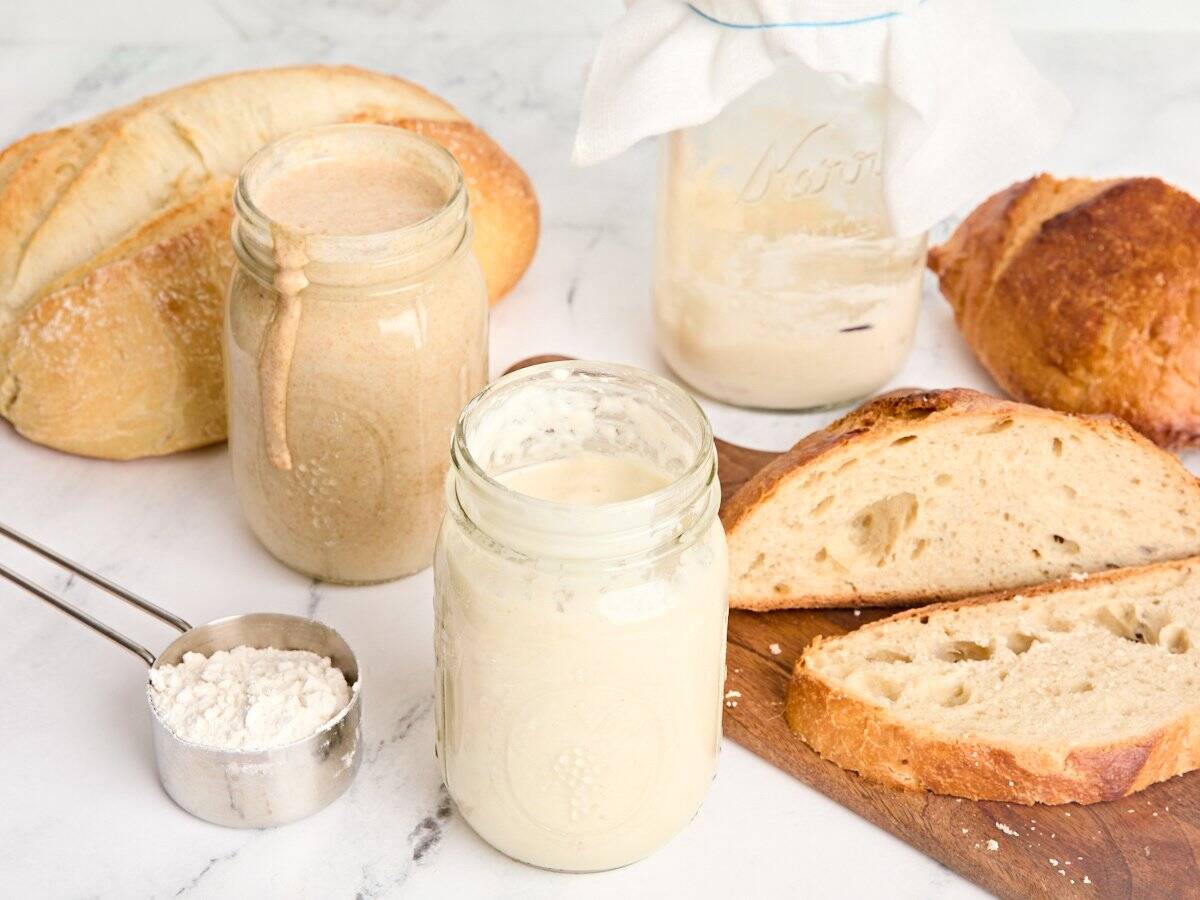 Overhead view of two jars of sourdough starter with a loaf of sourdough bread and a cup of flour.