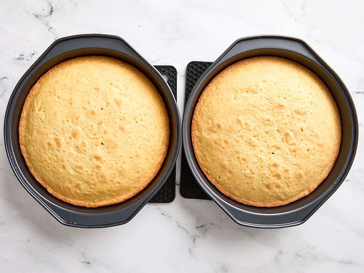 Freshly baked coconut cake in two cake pans.