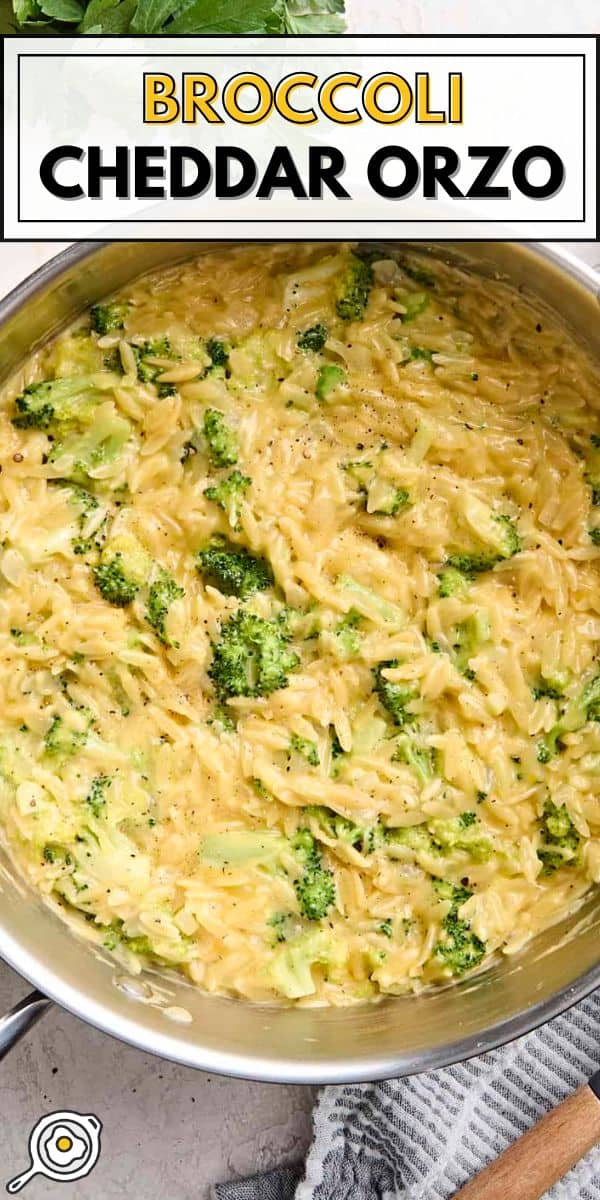 broccoli cheddar orzo pin image